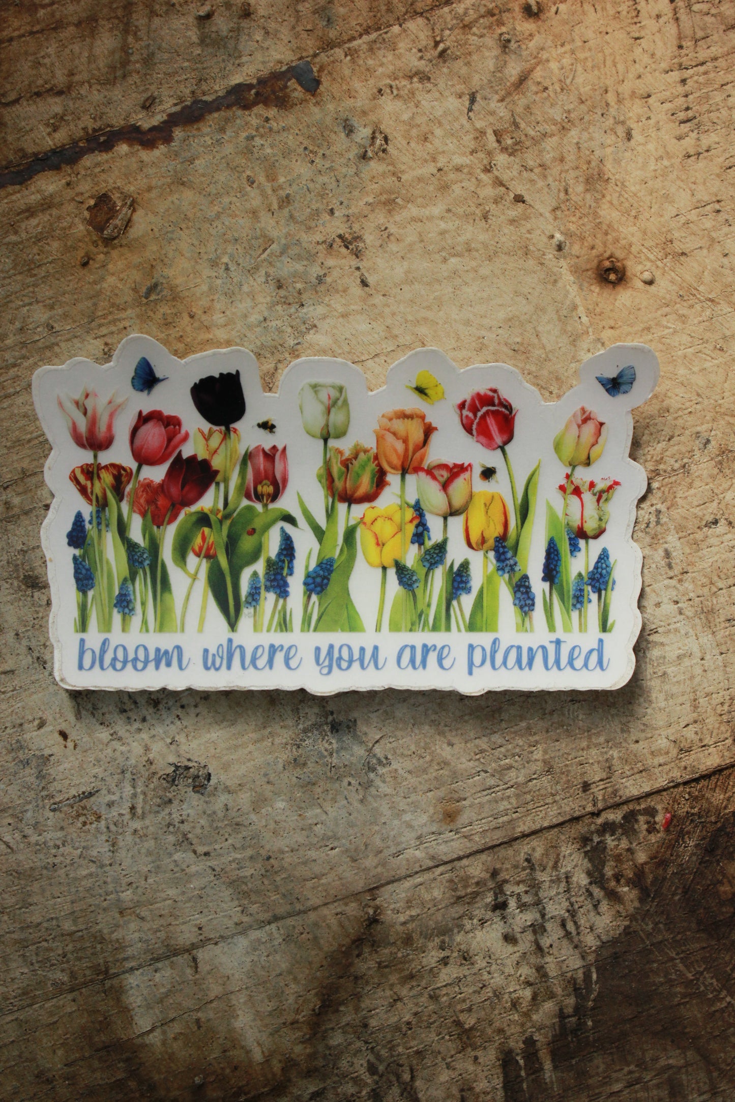 Bloom Where You are Planted Sticker