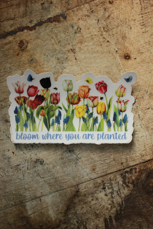 Bloom Where You are Planted Sticker