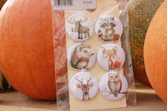 Cute Animals Magnets