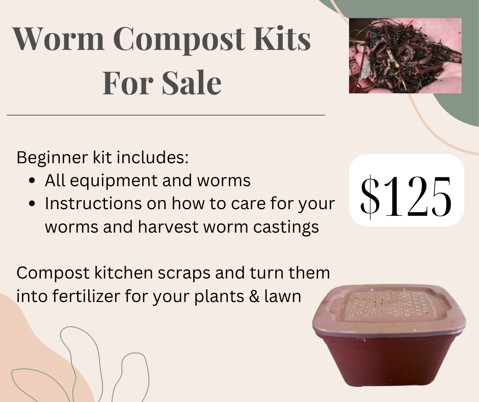 Worm Castings Beginner Kit