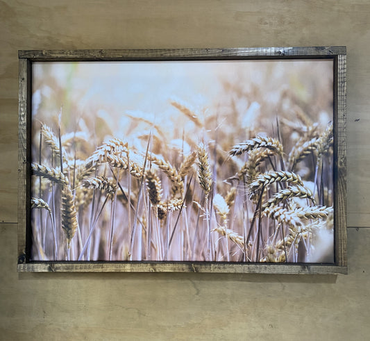 Wheat Canvas